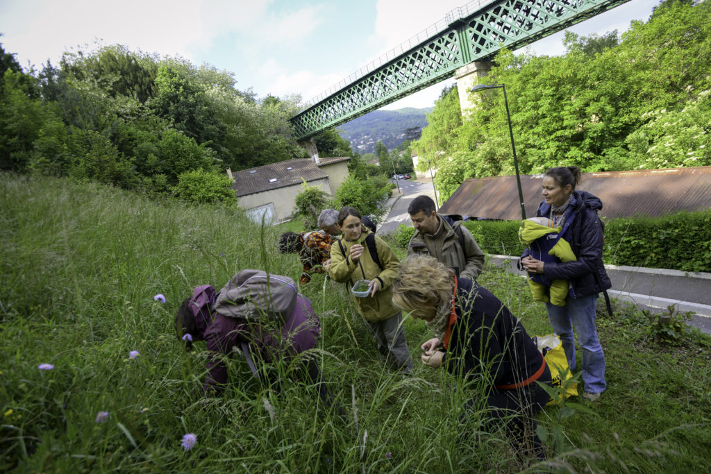 Émilie Cuissard et son groupe en train d'herboriser - Photo©MJM