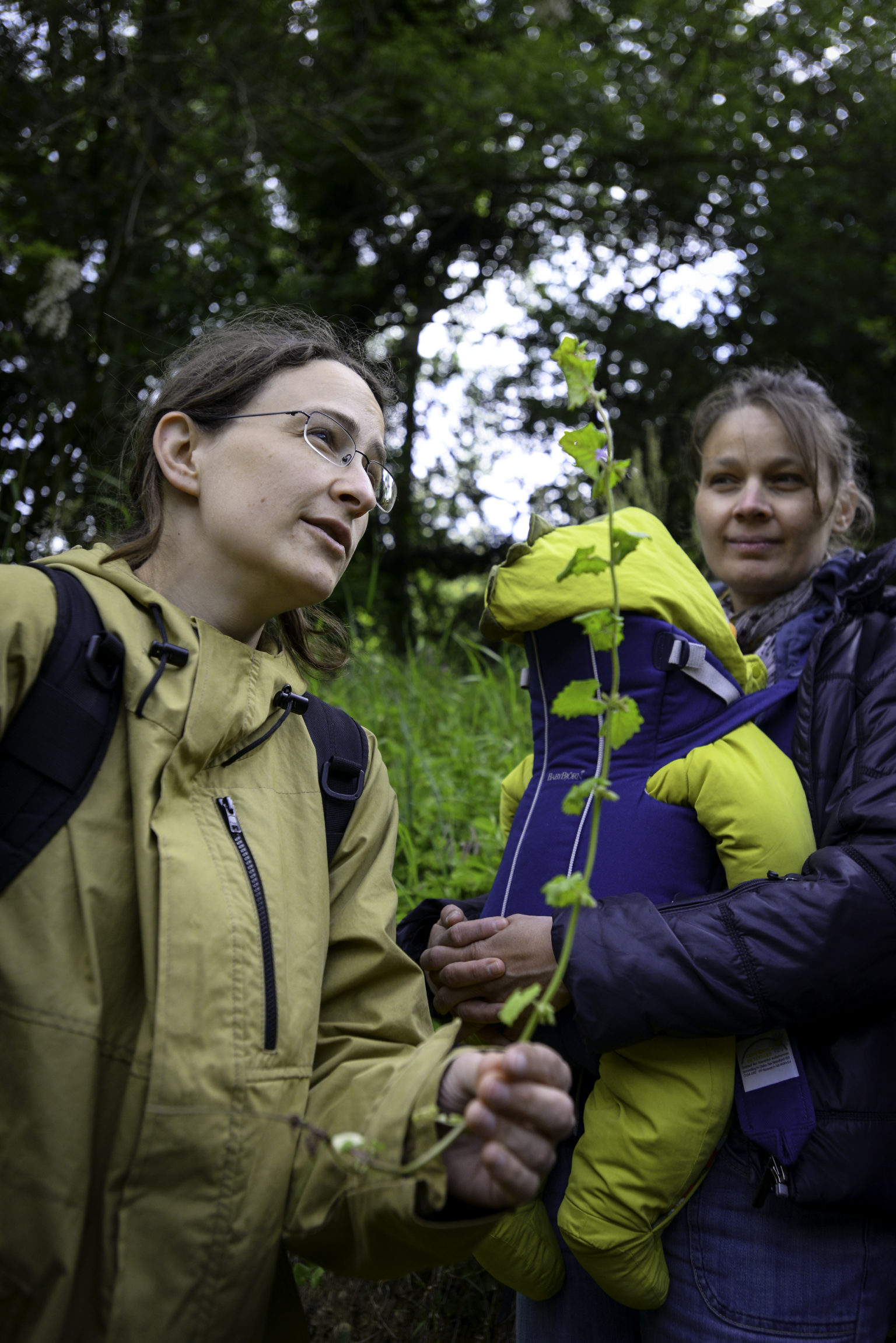 Emilie Cuissard en train d'herboriser avec un groupe. Photo © MJM