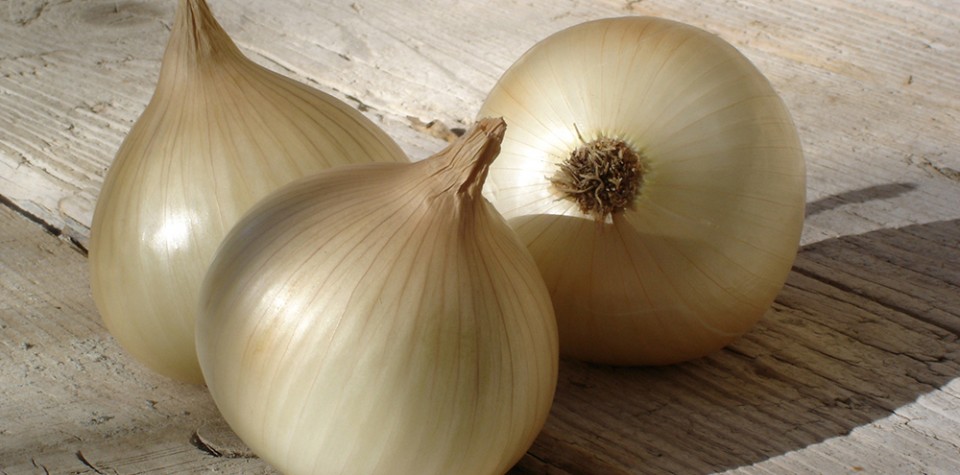 Oignons doux des Cévennes