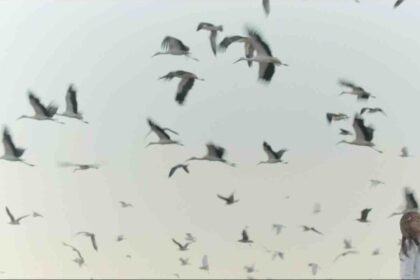 Le ciel, au moins, est indivisible©DKB Productions
