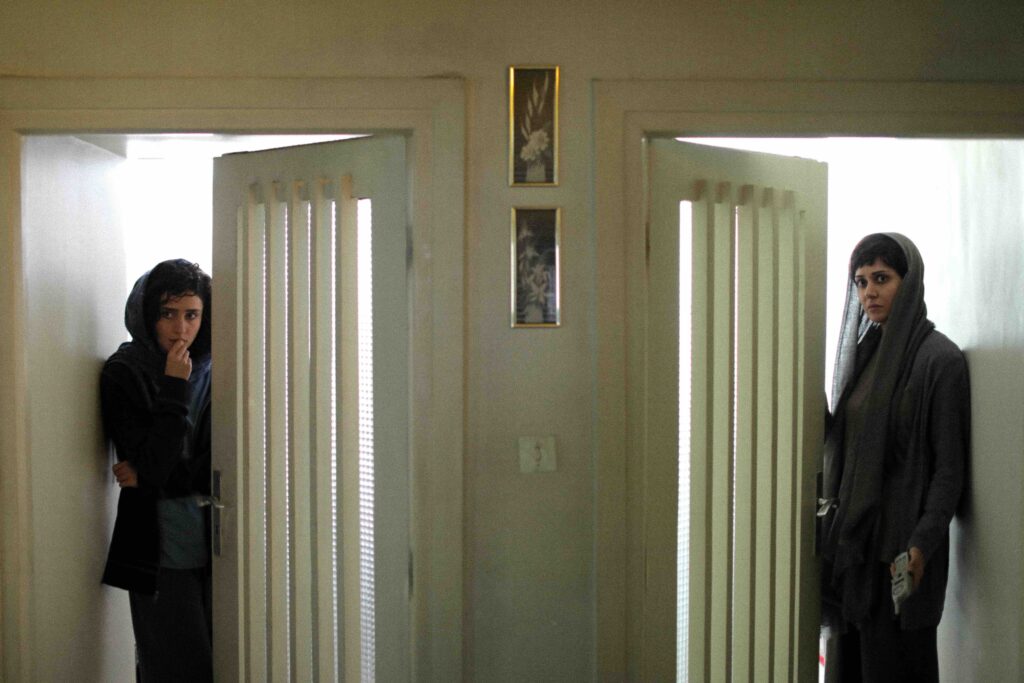 Sans légende / Photo : © Amirhossein Shojaei & Saeed Roustaee