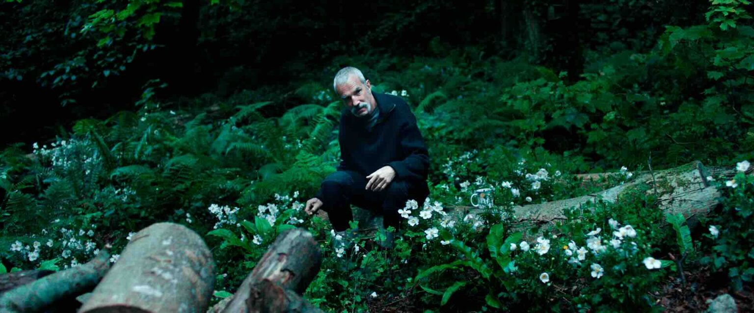 Sept ans en alternance comme fougère : le perfectionnisme selon Daniel Day-Lewis © 2026 Condor Distribution